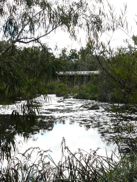 20080722 - Bream Fishing 9